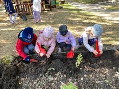 Dzieci sadzą tulipany