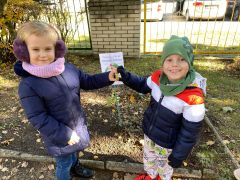 Zajączki przystąpiły do akcji "Tulipany mocy"