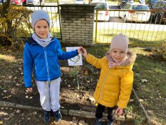 Zajączki przystąpiły do akcji "Tulipany mocy"