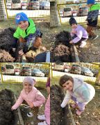 Dzieci sadzą tulipany