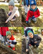 Dzieci sadzą tulipany