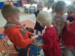 większy obrazek nr 24