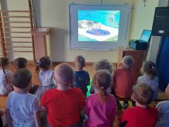 większy obrazek nr 4