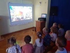 większy obrazek nr 5