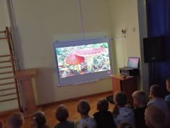 większy obrazek nr 16